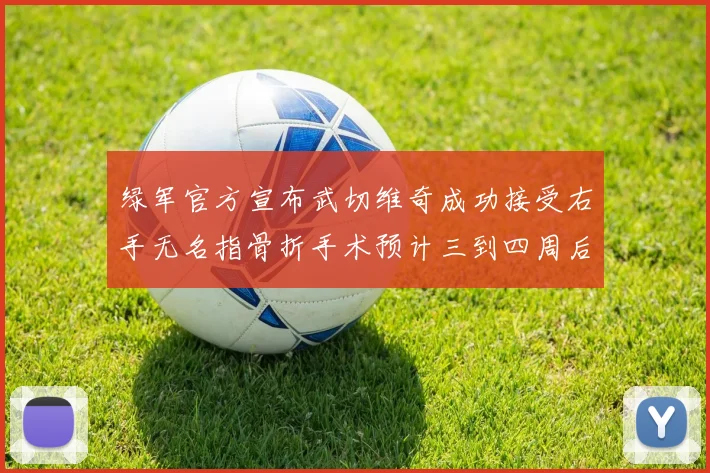 绿军官方宣布武切维奇成功接受右手无名指骨折手术预计三到四周后复查