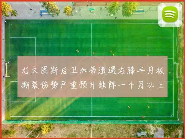 尤文图斯后卫加蒂遭遇右膝半月板撕裂伤势严重预计缺阵一个月以上